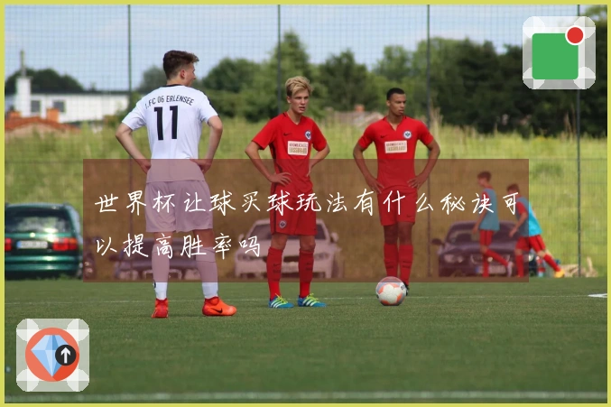 世界杯让球买球玩法有什么秘诀可以提高胜率吗