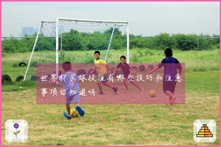 世界杯买球投注有哪些技巧和注意事项你知道吗