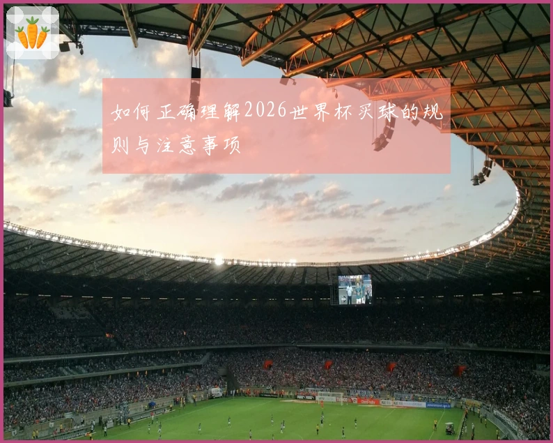 如何正确理解2026世界杯买球的规则与注意事项