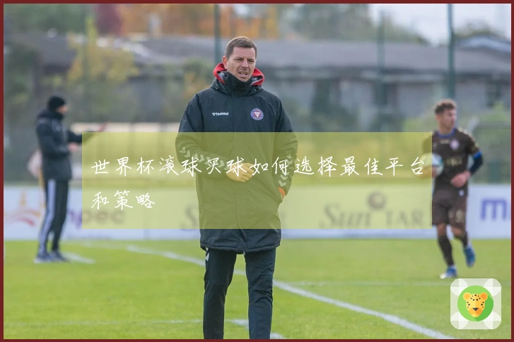 世界杯滚球买球如何选择最佳平台和策略