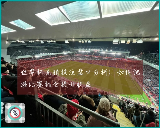 世界杯竞猜投注盘口分析：如何把握比赛机会提升收益