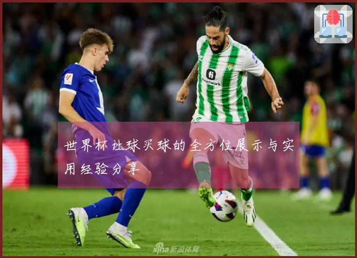 世界杯让球买球的全方位展示与实用经验分享