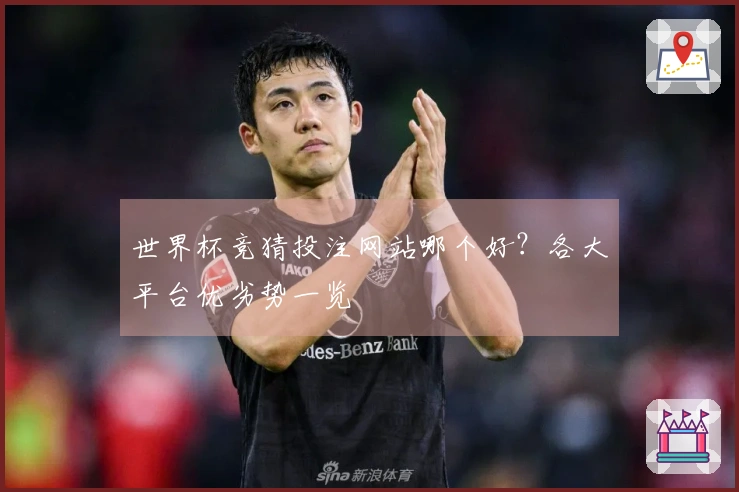 世界杯竞猜投注网站哪个好？各大平台优劣势一览