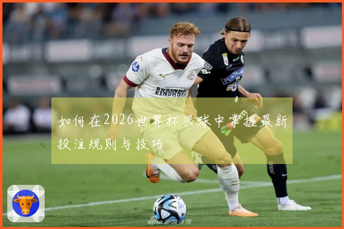 如何在2026世界杯买球中掌握最新投注规则与技巧