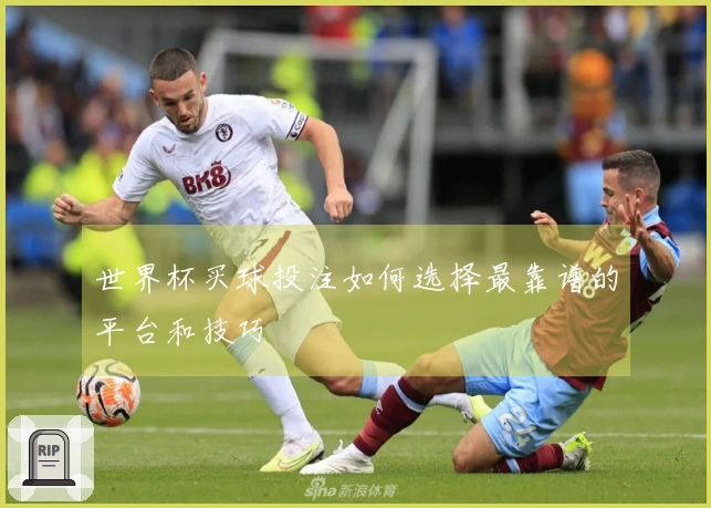 世界杯买球投注如何选择最靠谱的平台和技巧